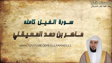 سورة الفيل كاملة - ماهر المعيقلي | Maher Al-Muaiqly - Surat  Al-Fil