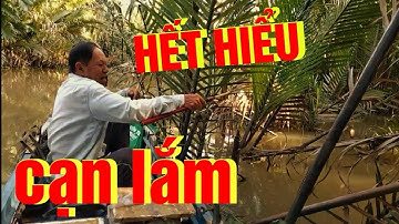 Quái Lạ - Con Rạch Nhỏ Xíu - Cạn Nước - Loài Cá Quý Hiếm Lại Trú Ngụ - Quá Dễ Câu