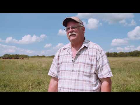 Benefits of Regenerative Grazing at Hickory Flat Cattle Company