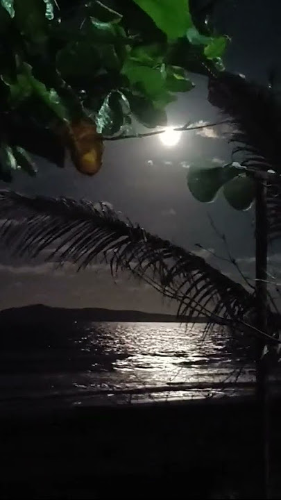 #shortvideo #video #moonlight #relaxingview