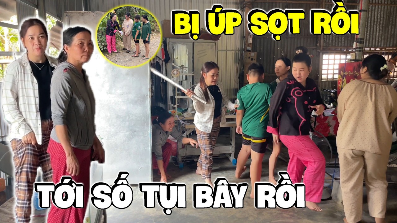 Đám Báo Bị Dì Hương Linh Ế Úp Sọt Rồi... | Hải Ka Vlogs