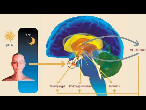 Пять ПРИЧИН СПАТЬ в полной ТЕМНОТЕ! Почему освещение в спальне вредно для здоровья
