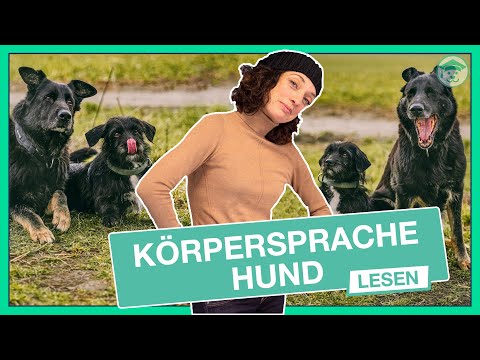 Video: Anleitung Zum Lesen Der Körpersprache Ihres Hundes