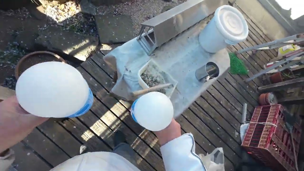 帰って来ました