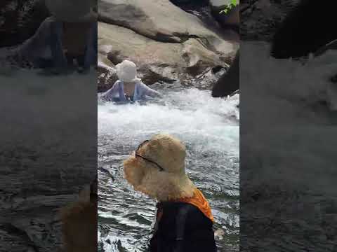 <strong>지리산계곡</strong> 아직청춘