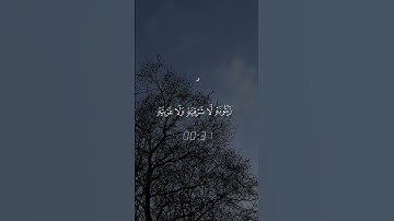 قران كريم اسمع ماهر المعيقلي  الله نور السموات والارض #قران #كروما #اسمع