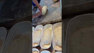 Lesson 58 Sourdough Preshaping, Shaping and Slow Motion Stitching