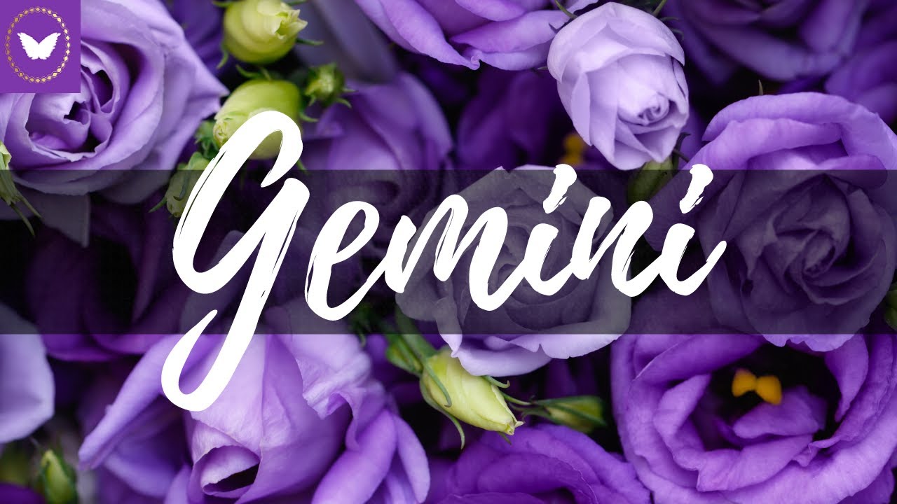 Gemini an unexpected offer brings relationship for the long term! 💖 Tarot Love Reading