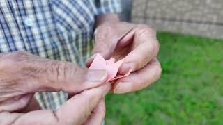 30 different origami shapes refolded from a single piece of paper
