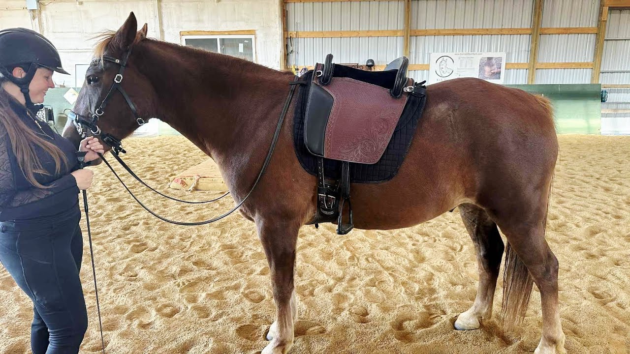 My Hildalgo saddle arrived! 