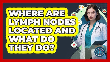 Where Are Lymph Nodes Located And What Do They Do? - All About the Immune System