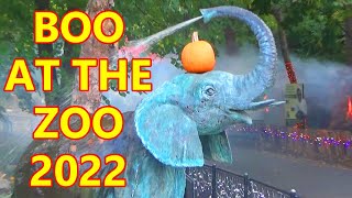 Boo At The Zoo 2022 In St. Louis Was Super Fun & Perfect For The Whole Family!