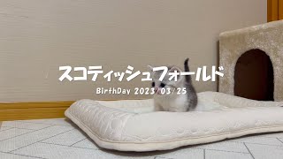 2023032503