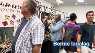 #plumeria event. San Diego California USA 🇺🇸