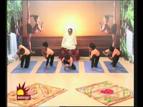 Dr Asana Andiappan Kalaignar Tv Yoga Program 18 07 2012 Wednesday ashtanga mysore