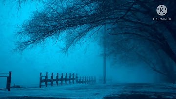 تلاوة هادئة تنسيك الدنيا وهمها#قران_كريم
