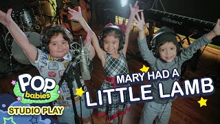 Mary Had A Little Lamb | Pop Babies : Studio Play