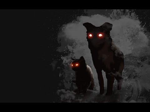 영상썸네일