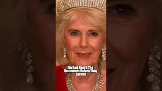 Camilla’s Silence During Catherine Mockery Shocked Prince William Completely Camilla’s Silence During Catherine Mockery Shocked Prince William Completely