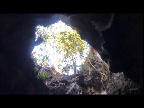 GOA PINDUL｜洞窟内からの景色 其の二