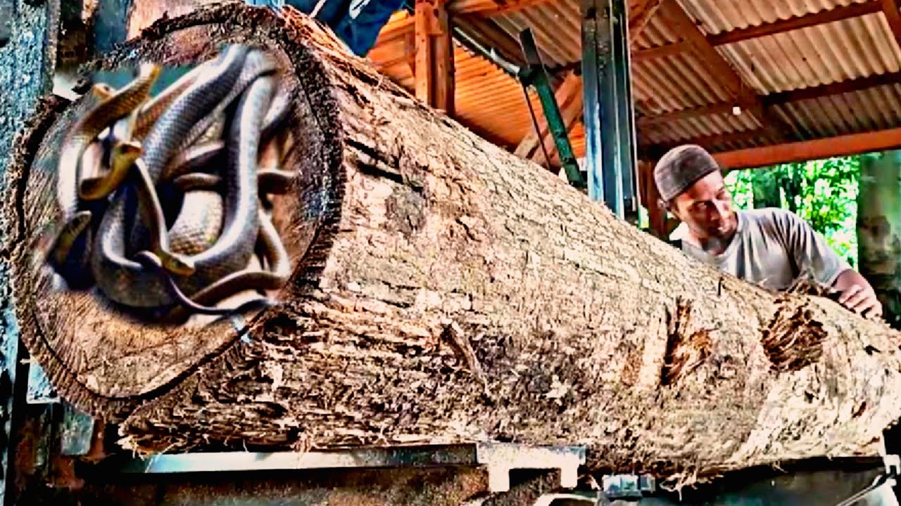 the tense process of sawing wood unexpectedly making sheets - YouTube