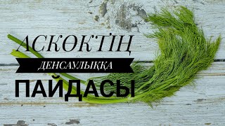 АСКӨКТІҢ (УКРОП) ЕШКІМ БІЛМЕЙТІН ЕМДІК ҚАСИЕТІ. #ем #аскөк#укроп#қазақша#аскөктің пайдасы