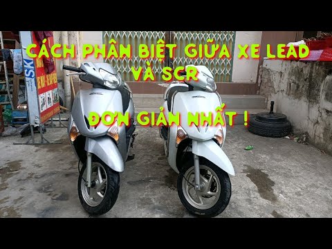 Video Cách Phân biệt giữa Xe Lead Và Scr . LH 0924128686 - youtube