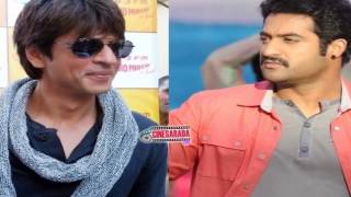 Shahrukh Khan says Jr.NTR is His GOD || S.S.rajamouli | NTR | SRK