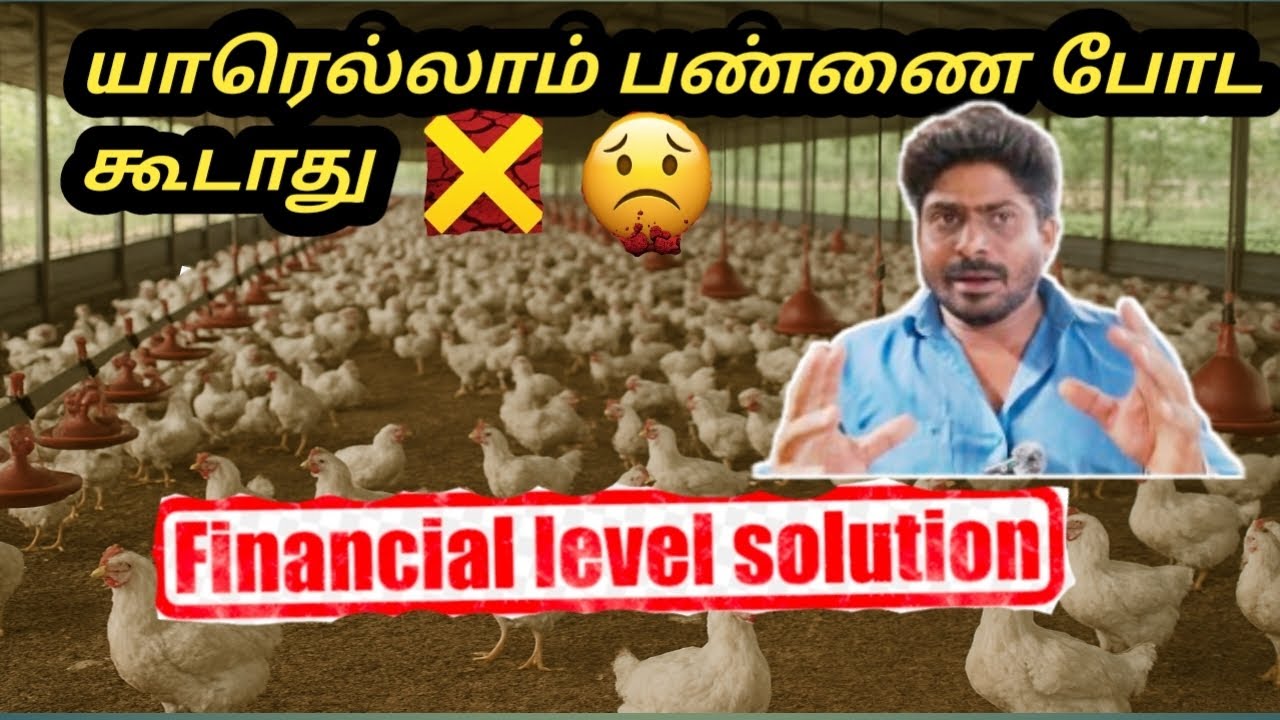 💰 யாரெல்லாம் பண்ணை போட கூடாது | Financial Level Analysis | Broiler Boss Rajesh