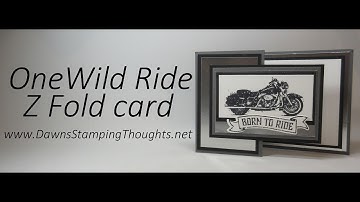 Z Fold cards using One Wild Ride stamp set from Stampin