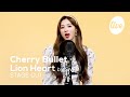 체리블렛(Cherry Bullet) Lion Heart (소녀시대) Stage Cut │소시의 라이언하트를 체블이들의 목소리로! [it's KPOP LIVE 잇츠라이브]