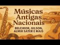 Músicas Antigas Nacionais Que Marcaram Gerações – Belchior, Almir Sater, Gilson e Mais