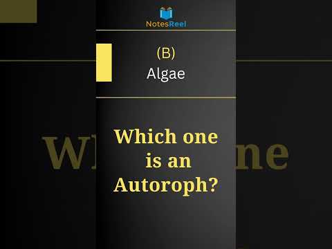 Βίντεο: Τι είναι ένα κουίζλ Autotroph;