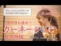 【カーネーション】バイオリンカバー|椎名林檎 Ringo Shiina
