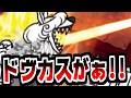【にゃんこ大戦争】極ランキング開催！ドーヴエルがまたやらかしてくれました【本垢実況Re#2485】