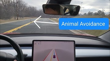 10.11.2 Animal Avoidance