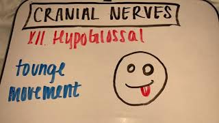 Chapter 13 Student Review The Peripheral Nervous System