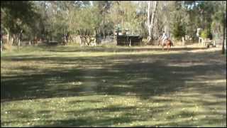 Ruby learning Walk, Trot, Canter under saddle