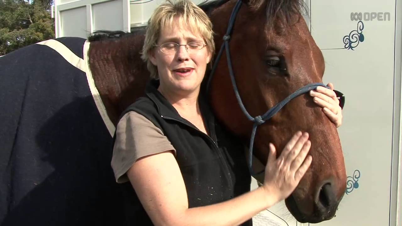 ABC Open Hunt Club YouTube