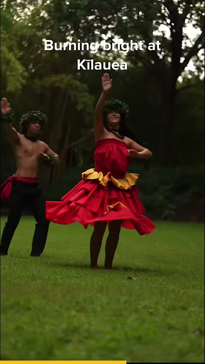 He Mele No Lilo translation #hula #hawaiiandance #shorts