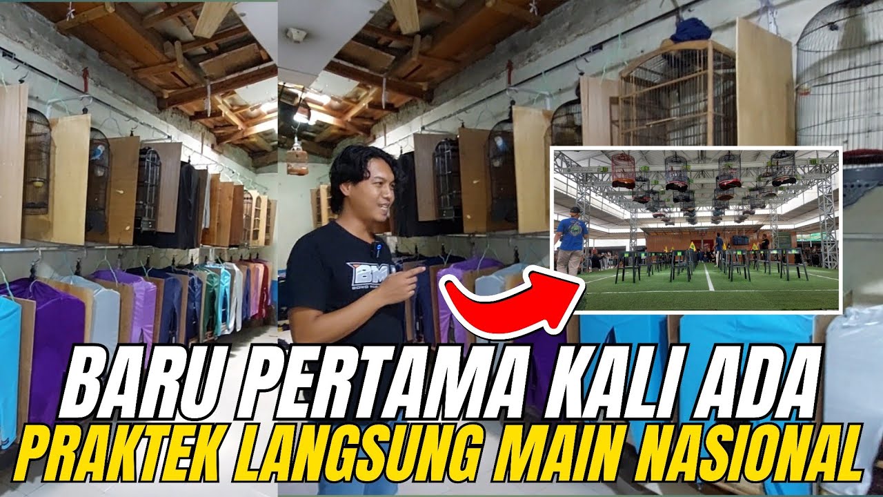 PERTAMA KALI ADA‼️TROTOL FIGHTER LANGSUNG PRAKTEK DI GANTANGAN NASIONAL BONUS SEGUDANG&SEKOLAH MURAI