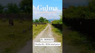 5 katha register plot in GULMA SILIGURI, milan more, land for sale