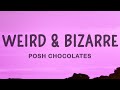 Posh Chocolates - Weird &amp; Bizarre