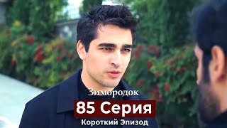 Зимородок 85 Cерия (Короткий Эпизод) (Русский Дубляж)