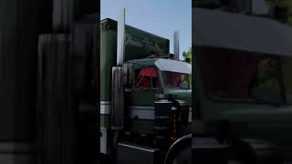 TSBR / MY SKIN #newtrucksimulator #americantrucksimulator #dualcarbon #truck