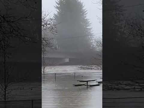 Atmospheric river soaks Pacific Northwest bringing floods, mudslides #Shorts