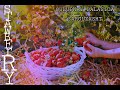 🍓#Vlog OILAVIY QULUPNAY TERIMIGA BORGANIMIZ 🍓