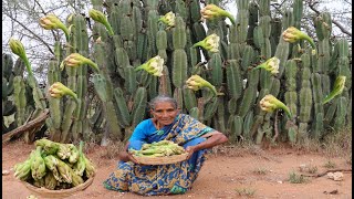 PEDRO CACTUS FLOWER | Cactus Flower receipe prepared by Grandma |countryfoodcooking