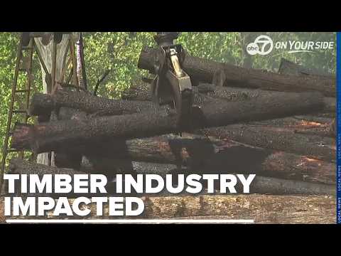 Arkansas timber industry in crisis as fuel costs soar; relief eyed in dyed diesel order