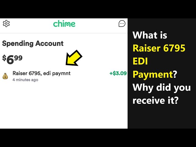 What is Raiser 6795 Edi Payment: A Comprehensive Guide